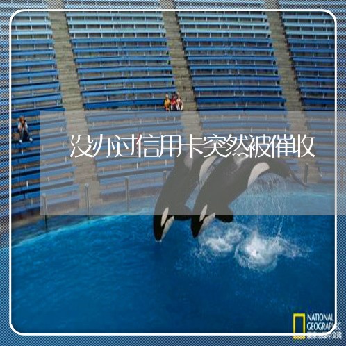 没办过信用卡突然被催收/2023030276370 没办过信用卡突然被催收/2023030276370