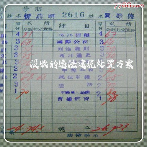 没收的违法建筑处置方案