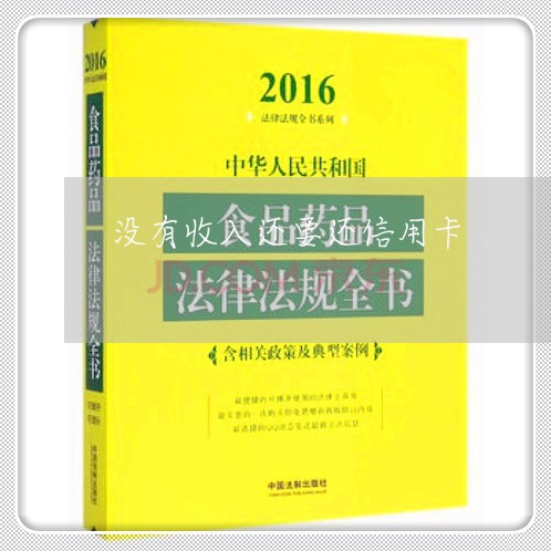 没有收入还要还信用卡/2023090673782