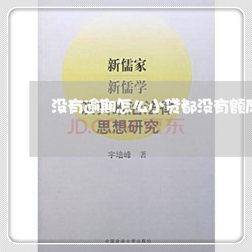 没有逾期怎么小贷都没有额度 没有逾期怎么小贷都没有额度