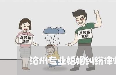 沧州专业婚姻纠纷律师报价