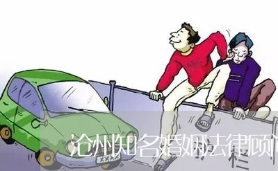 沧州知名婚姻法律顾问费用/2023061936069