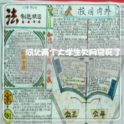 河北两个大学生欠网贷死了