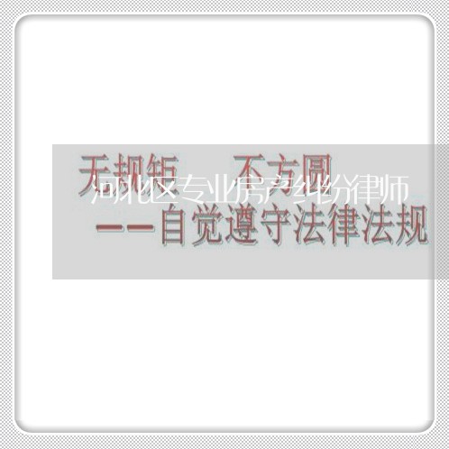 河北区专业房产纠纷律师 河北区专业房产纠纷律师