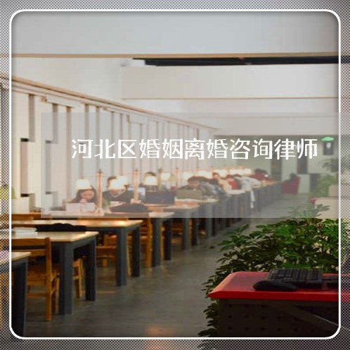 河北区婚姻离婚咨询律师