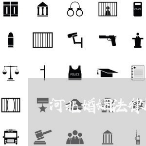 河北婚姻法律顾问服务咨询/2023061993825
