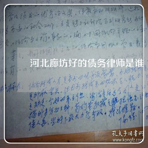 河北廊坊好的债务律师是谁/2023060851304