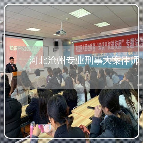 河北沧州专业刑事大案律师