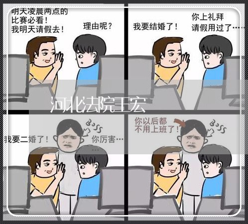 河北法院王宏 河北法院王宏