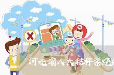 河北省人大秸秆禁烧的法规 河北省人大秸秆禁烧的法规
