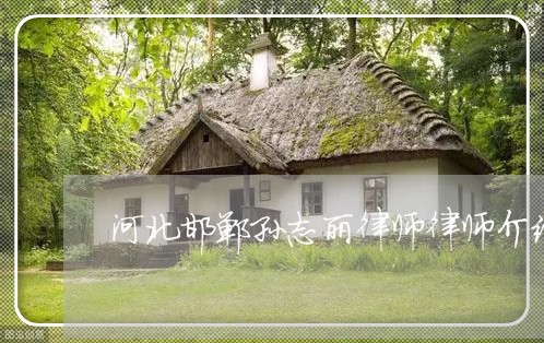河北邯郸孙志丽律师律师介绍