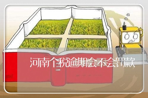 河南个税逾期会不会罚款