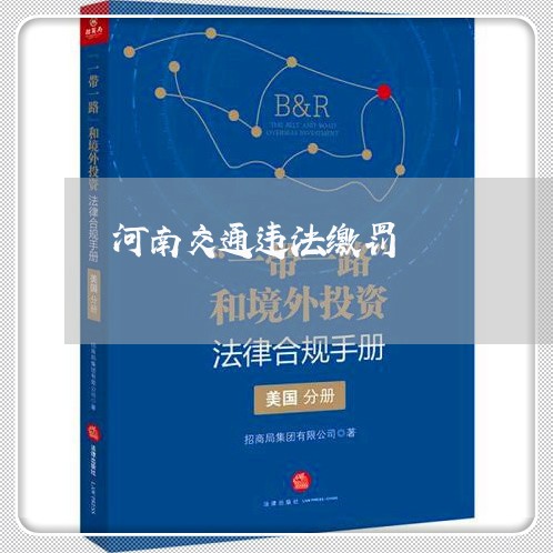 河南交通违法缴罚 河南交通违法缴罚