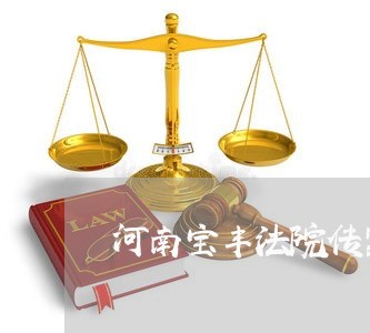 河南宝丰法院传票图片