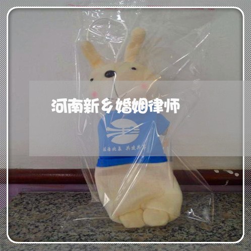 河南新乡婚姻律师 河南新乡婚姻律师