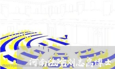 河南法院刘志高博士