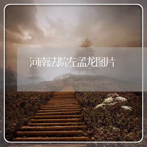 河南法院左孟龙图片