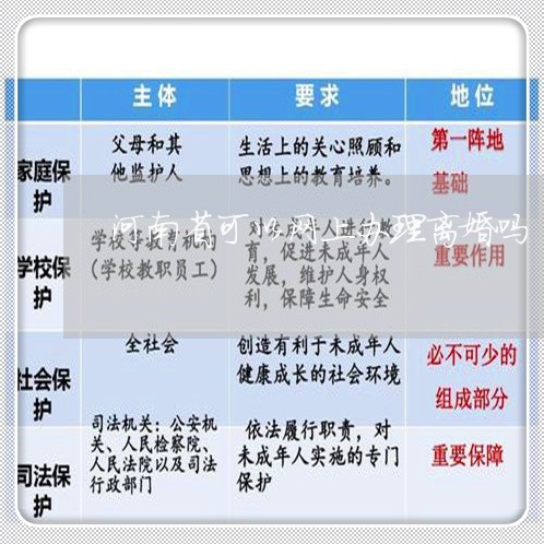 河南省可以网上办理离婚吗/2023061081583