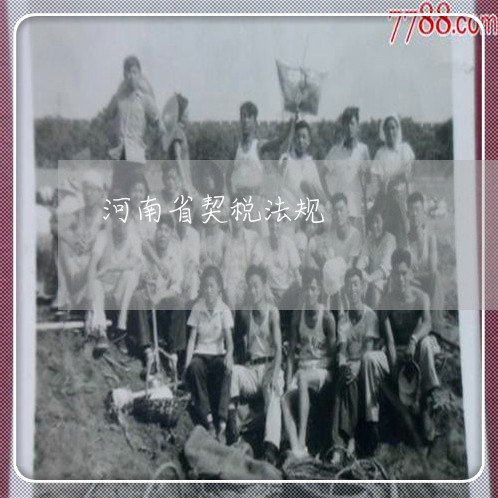 河南省契税法规
