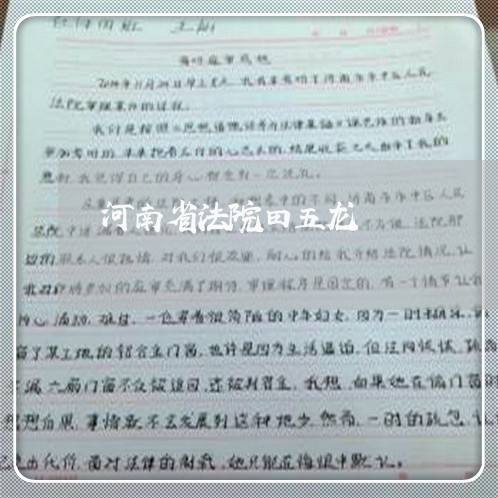 河南省法院田五龙 河南省法院田五龙