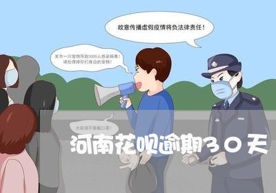 河南花呗逾期30天