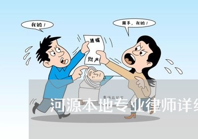 河源本地专业律师详细解答