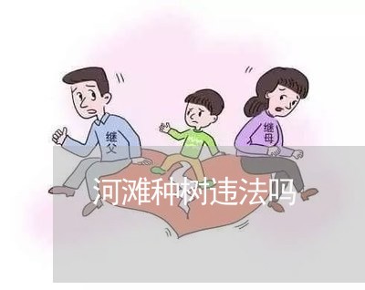 河滩种树违法吗