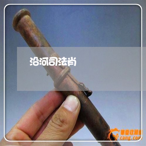 沿河司法肖