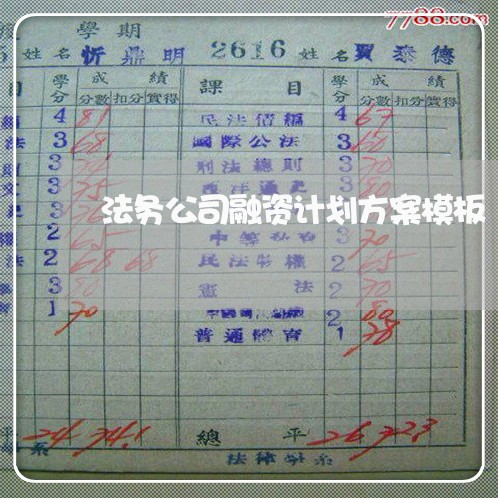 法务公司融资计划方案模板 法务公司融资计划方案模板
