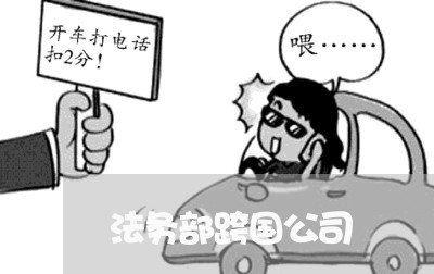法务部跨国公司 法务部跨国公司