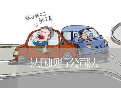 法国现行公司法 法国现行公司法