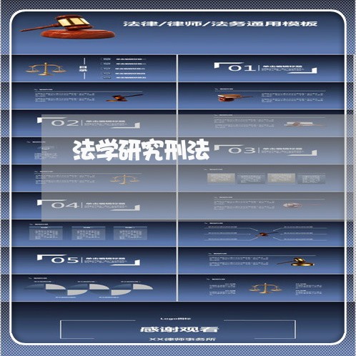 法学研究刑法