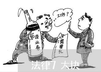 法律7大块