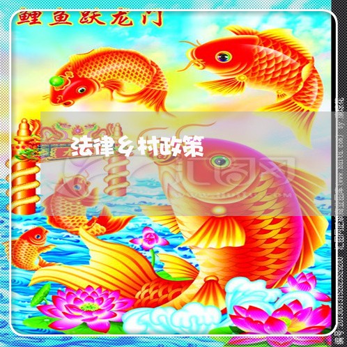 法律乡村政策