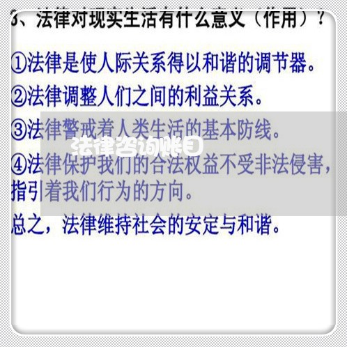 法律咨询账目