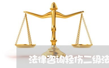 法律咨询轻伤二级法律怎么判