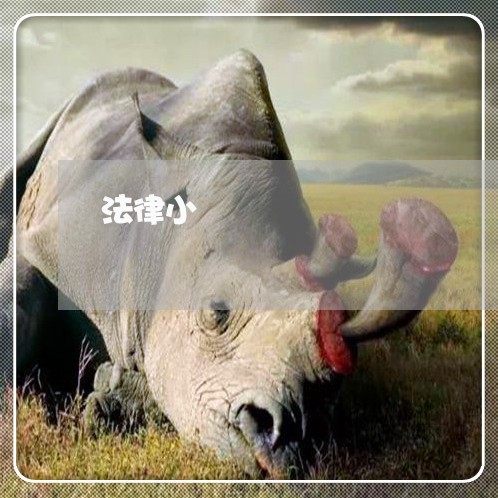 法律小 法律小