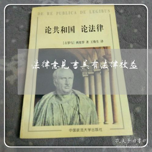 法律意见书具有法律效益