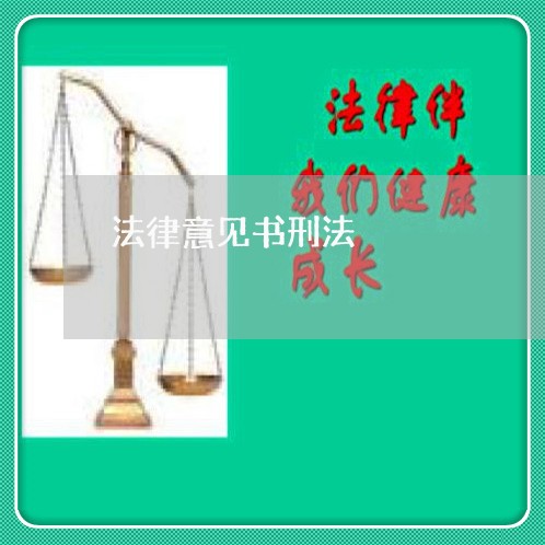 法律意见书刑法 法律意见书刑法