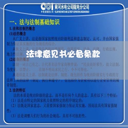 法律意见书必备条款 法律意见书必备条款