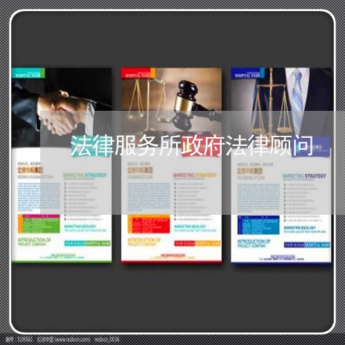 法律服务所政府法律顾问 法律服务所政府法律顾问