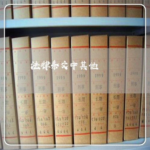 法律条文中其他