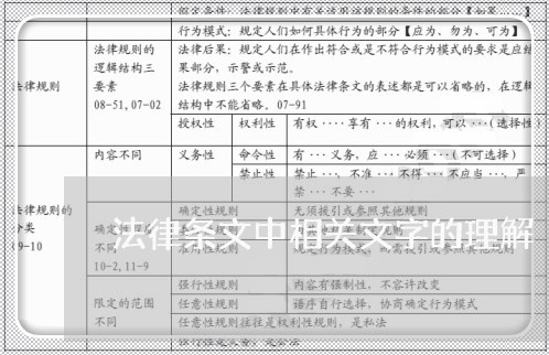法律条文中相关文字的理解 法律条文中相关文字的理解