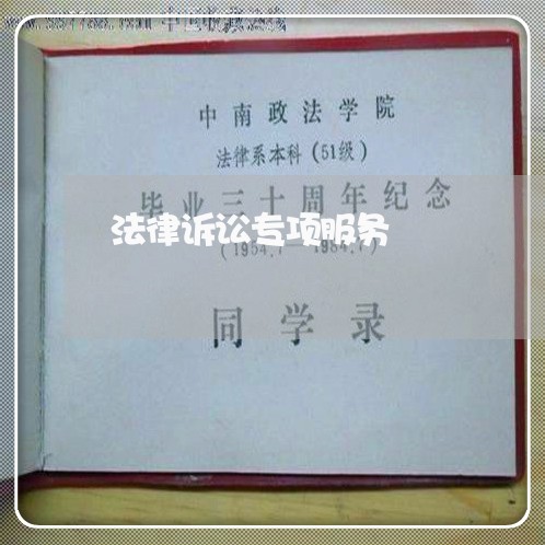 法律诉讼专项服务 法律诉讼专项服务
