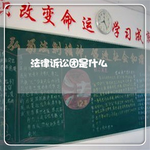 法律诉讼团是什么 法律诉讼团是什么