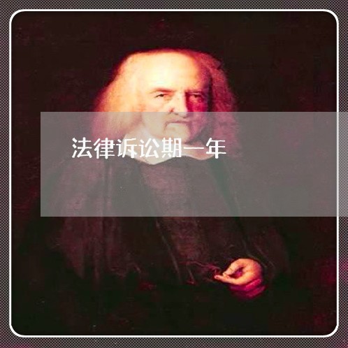 法律诉讼期一年