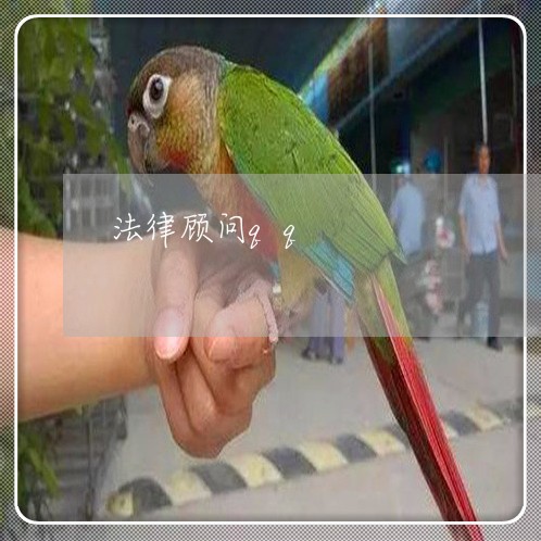 法律顾问qq/2023061643714 法律顾问qq/2023061643714