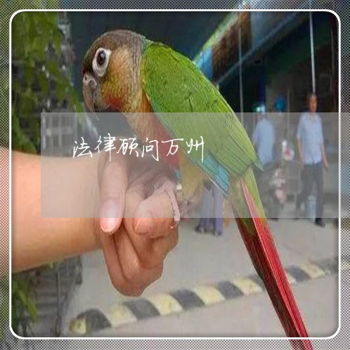 法律顾问万州/2023061717060