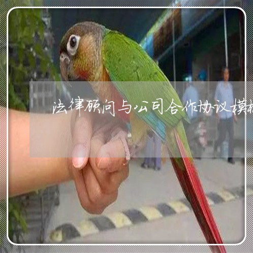 法律顾问与公司合作协议模板 法律顾问与公司合作协议模板