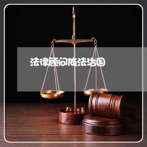法律顾问依法治国